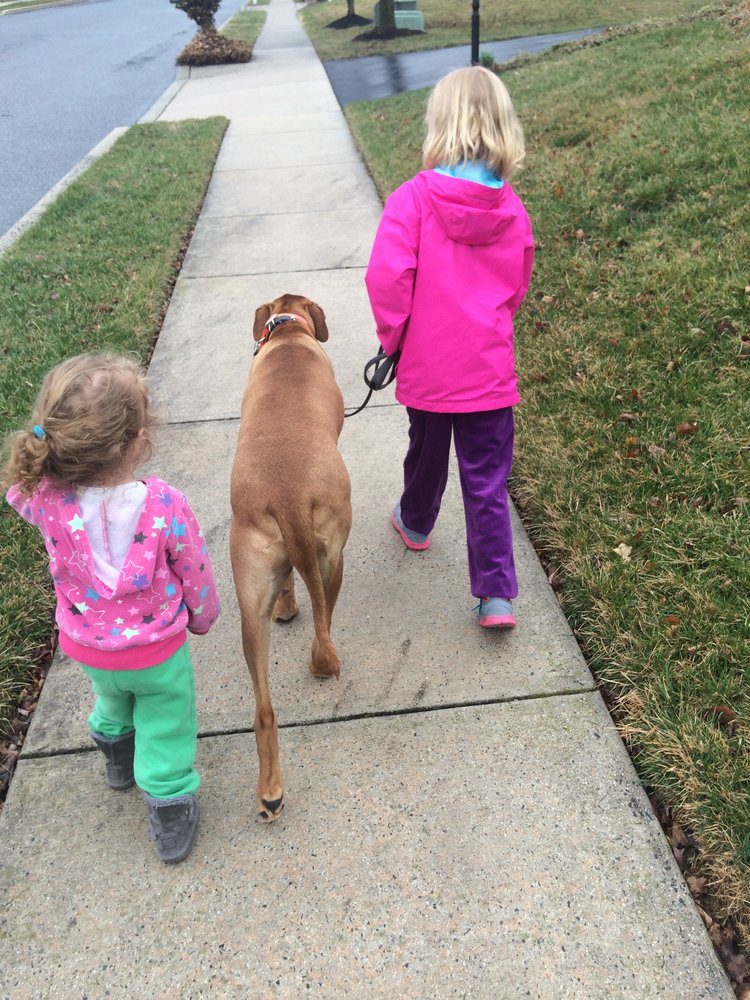children with their dog