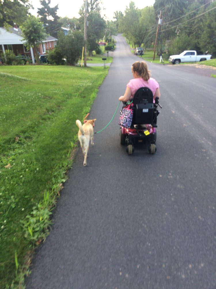 woman in wheelchair walking dog