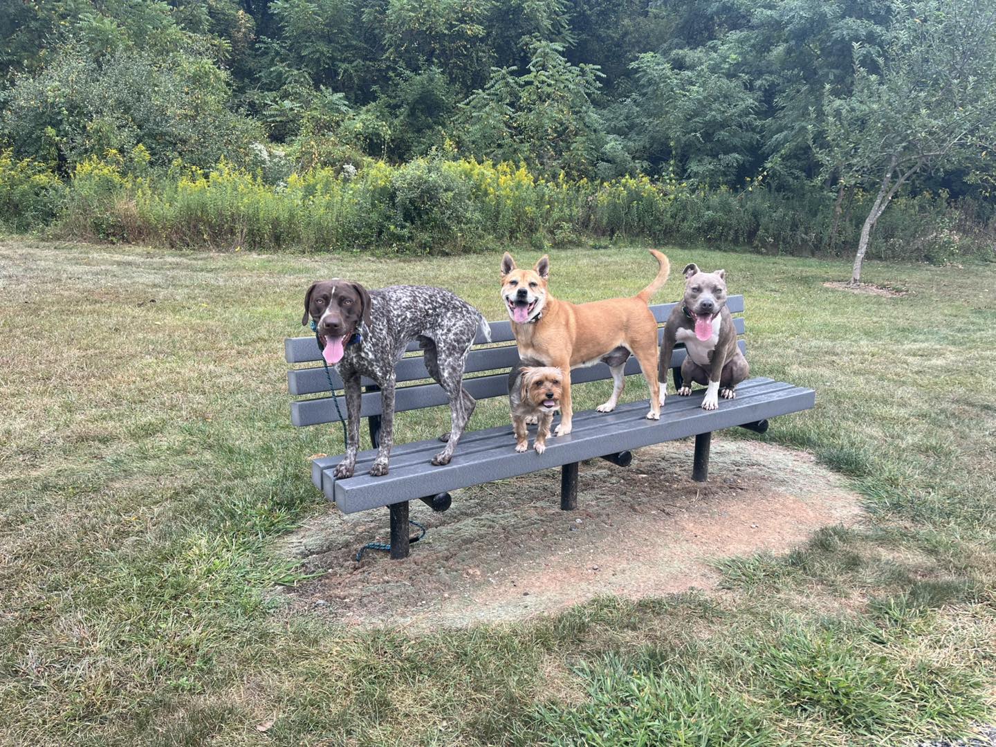 Winston Practicing Check-ins and Engagement