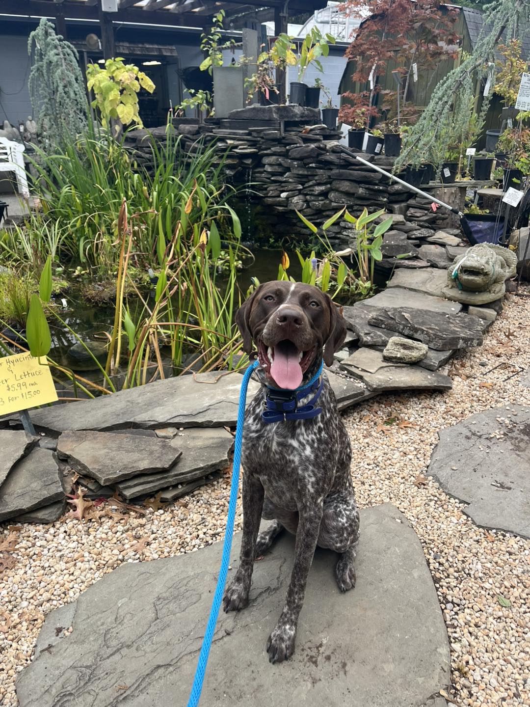 Winston Practicing Check-ins and Engagement
