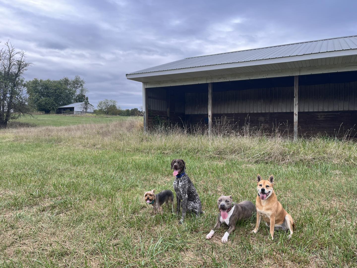 Winston's First Group Class