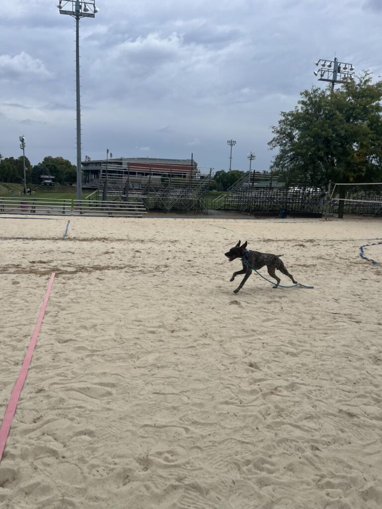 Winston Practicing Check-ins and Engagement