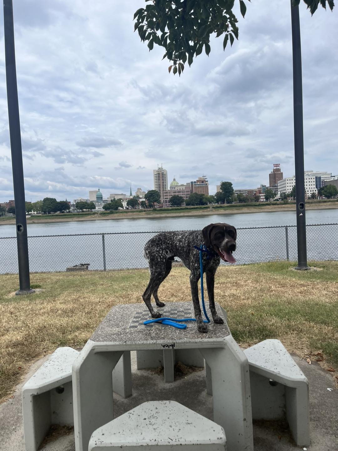 Winston Practicing Check-ins and Engagement