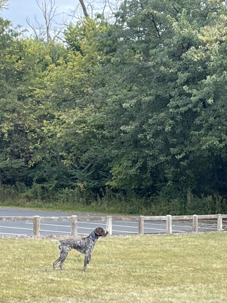 Winston's First Group Class