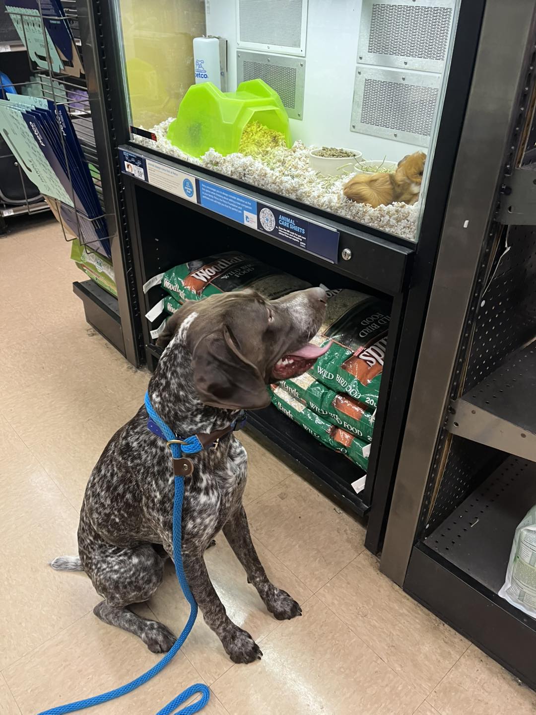 Winston's First Group Class