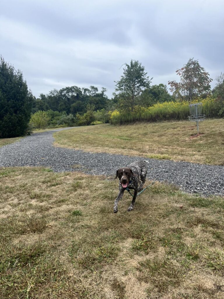 Winston Practicing Check-ins and Engagement