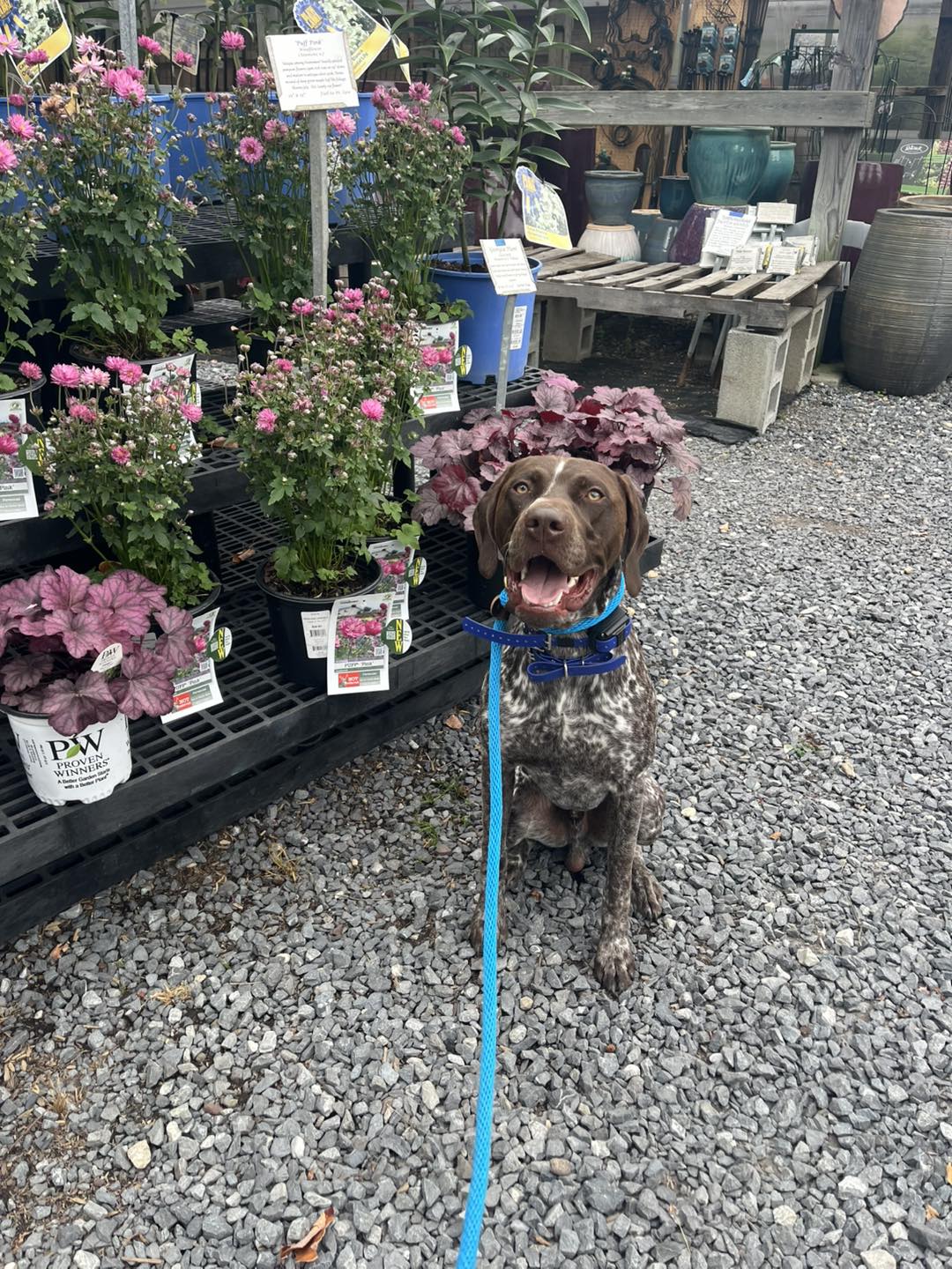 Winston Practicing Check-ins and Engagement