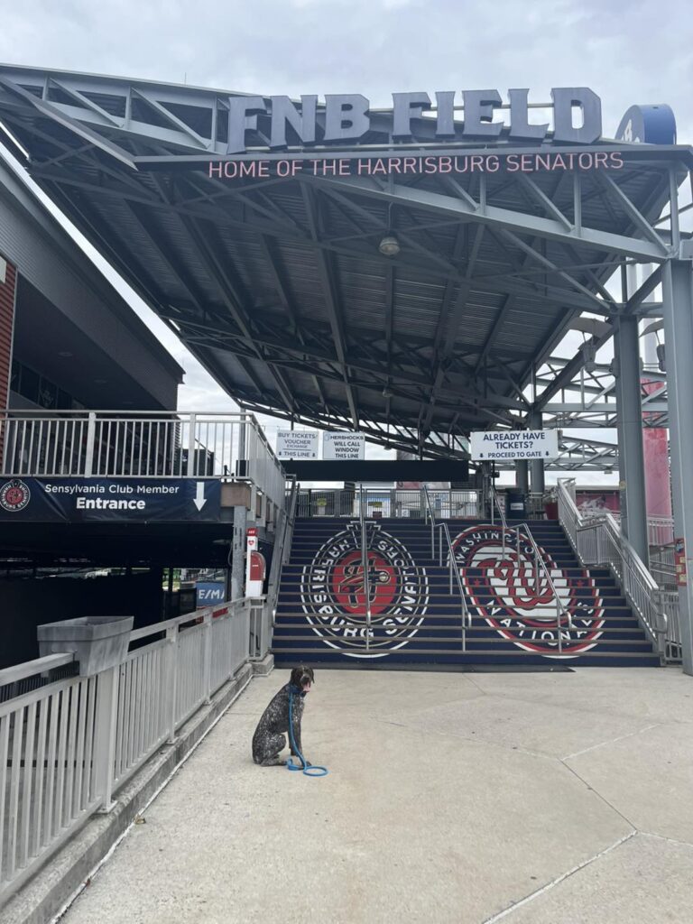 Winston Practicing Check-ins and Engagement