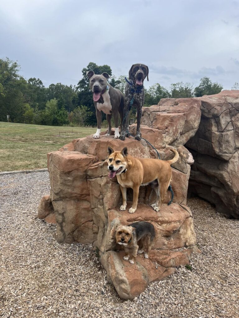 Winston Practicing Check-ins and Engagement