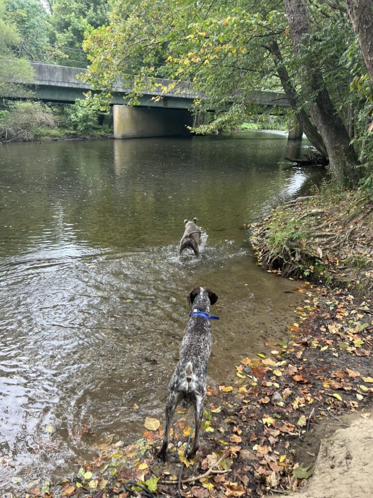 Winston Practicing Check-ins and Engagement