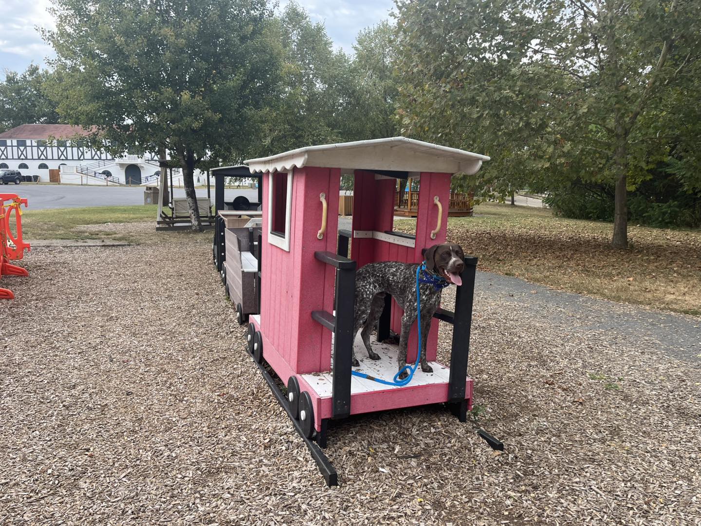 Winston Practicing Check-ins and Engagement