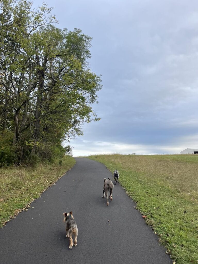 Winston's First Group Class