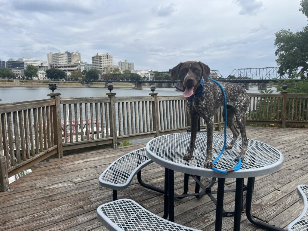 Winston Practicing Check-ins and Engagement