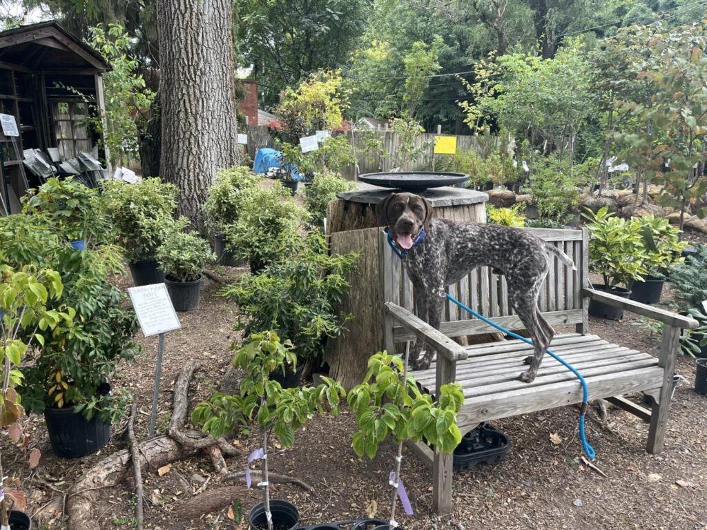 Winston Practicing Check-ins and Engagement