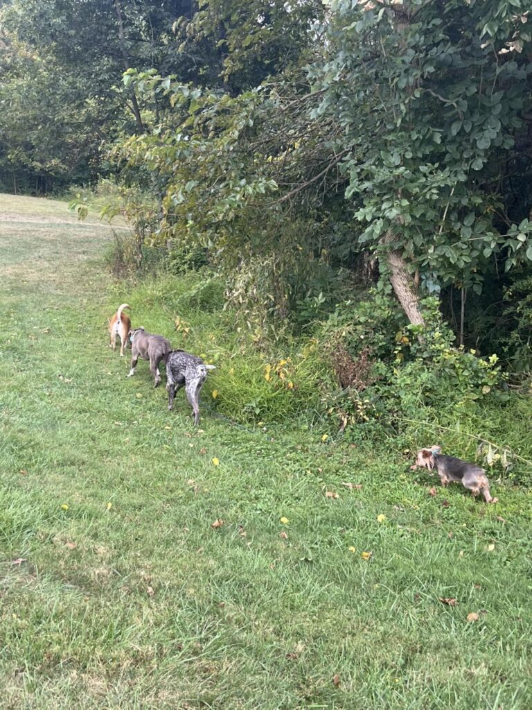 Winston Practicing Check-ins and Engagement