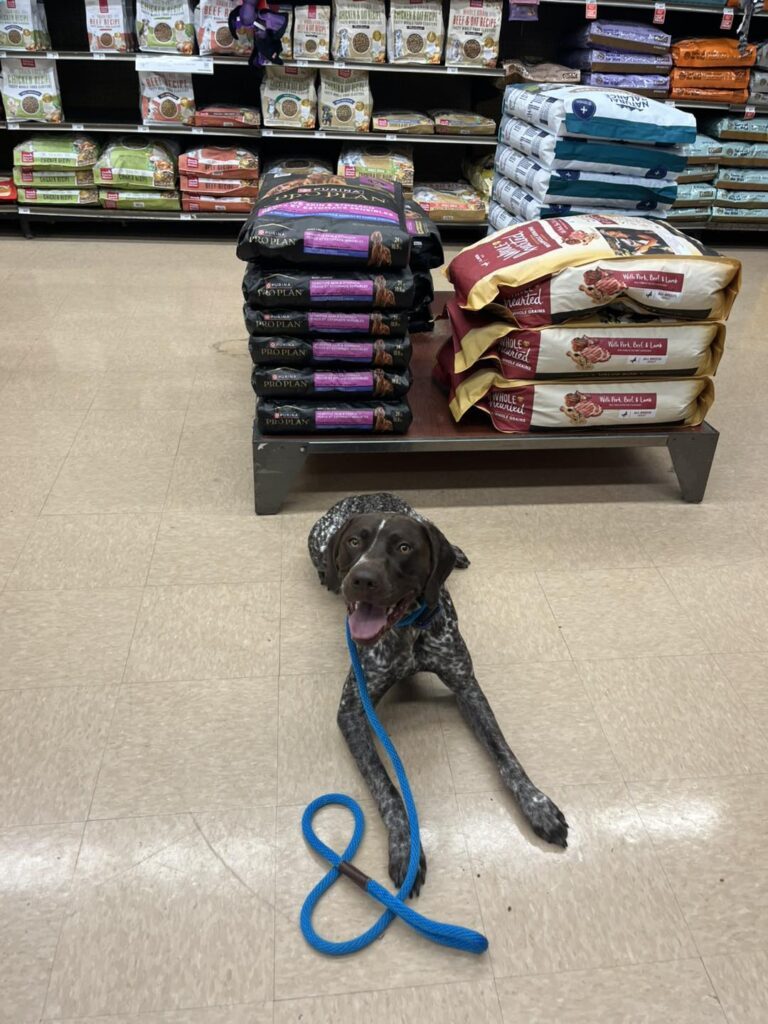 Winston's First Group Class