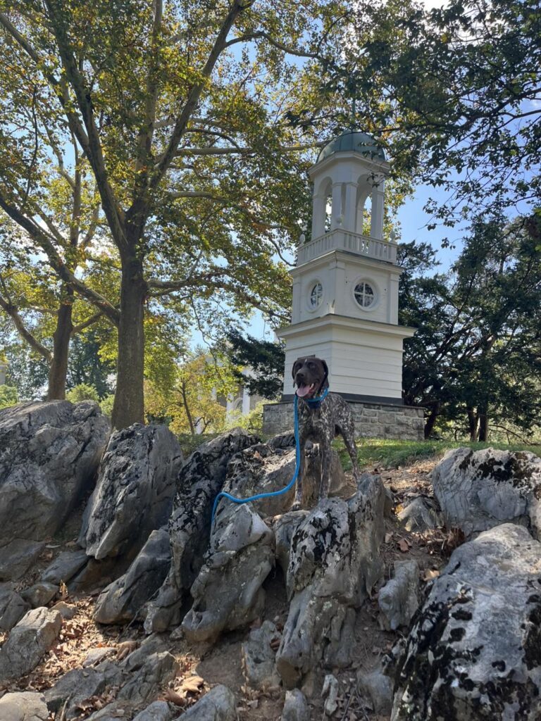 Winton's Training Session