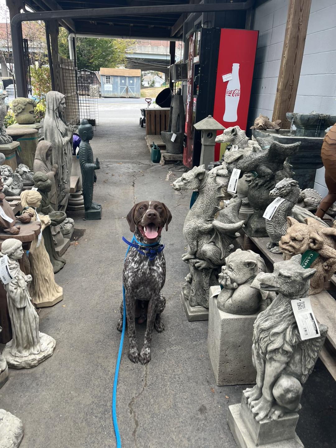 Winston Practicing Check-ins and Engagement