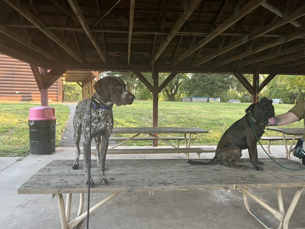 Winton's Training Session