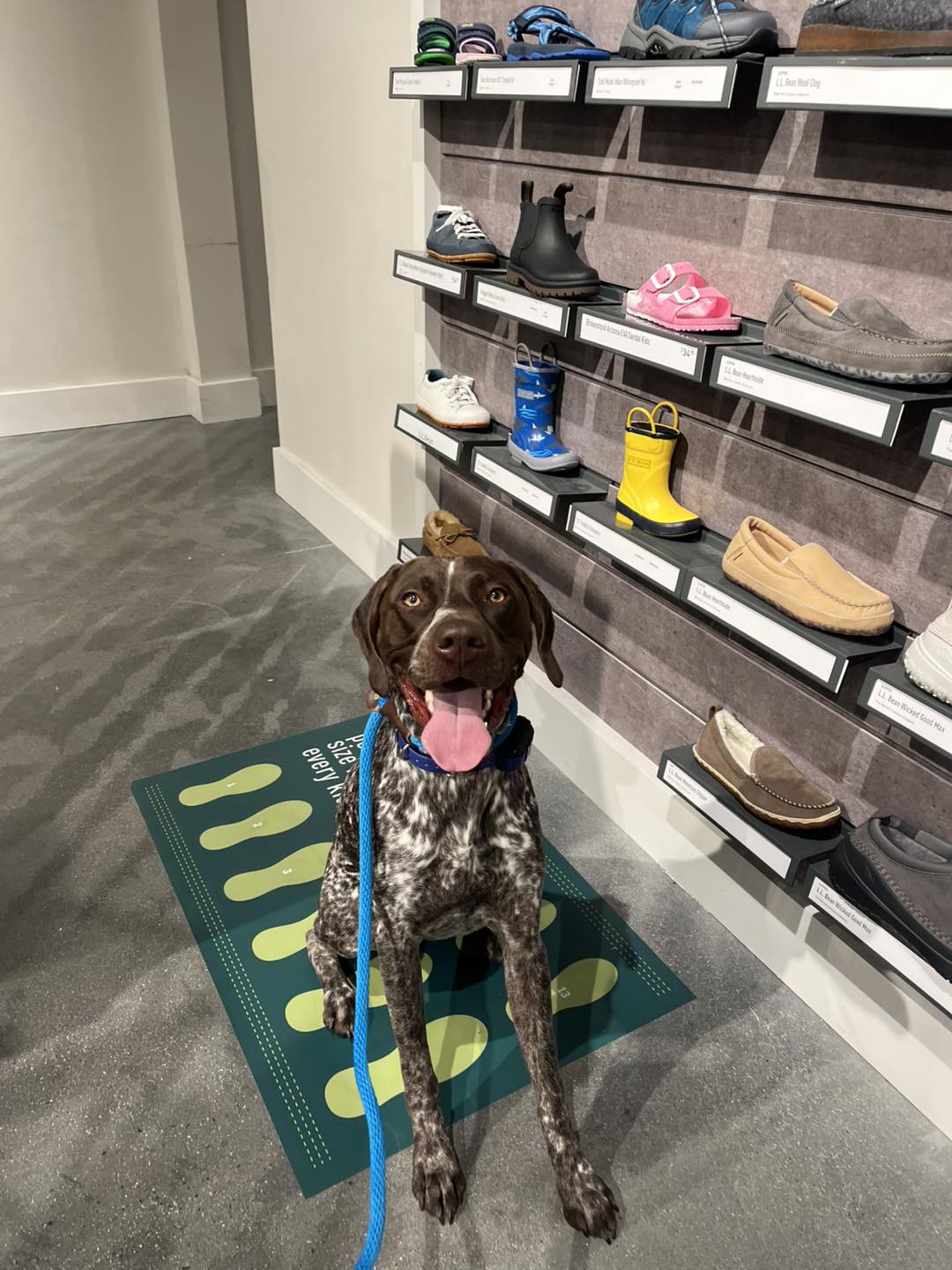 Winston's First Group Class