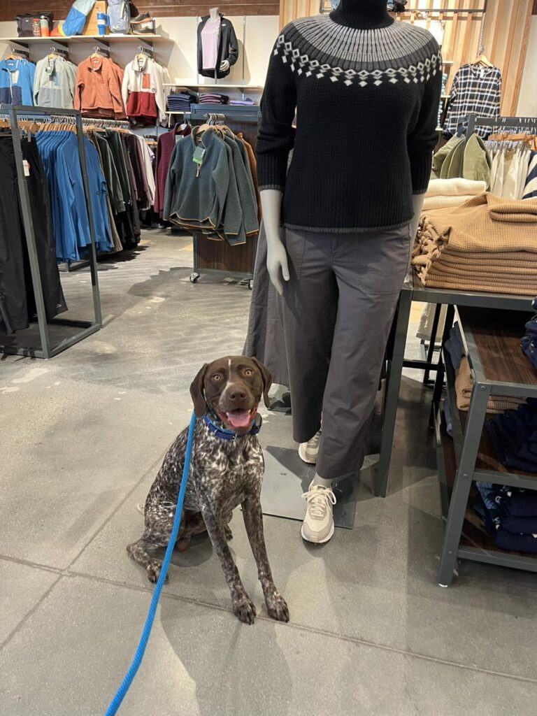 Winston's First Group Class