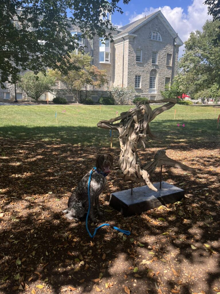 Winton's Training Session