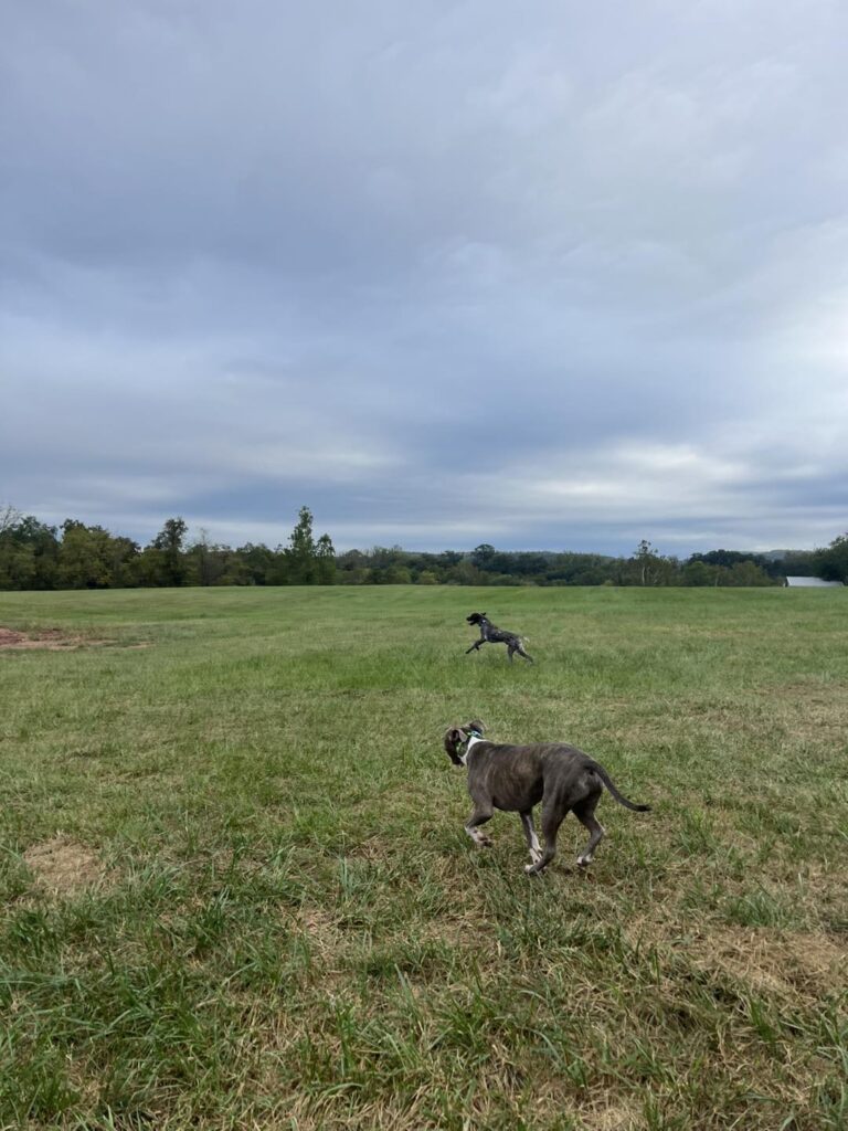 Winston's First Group Class