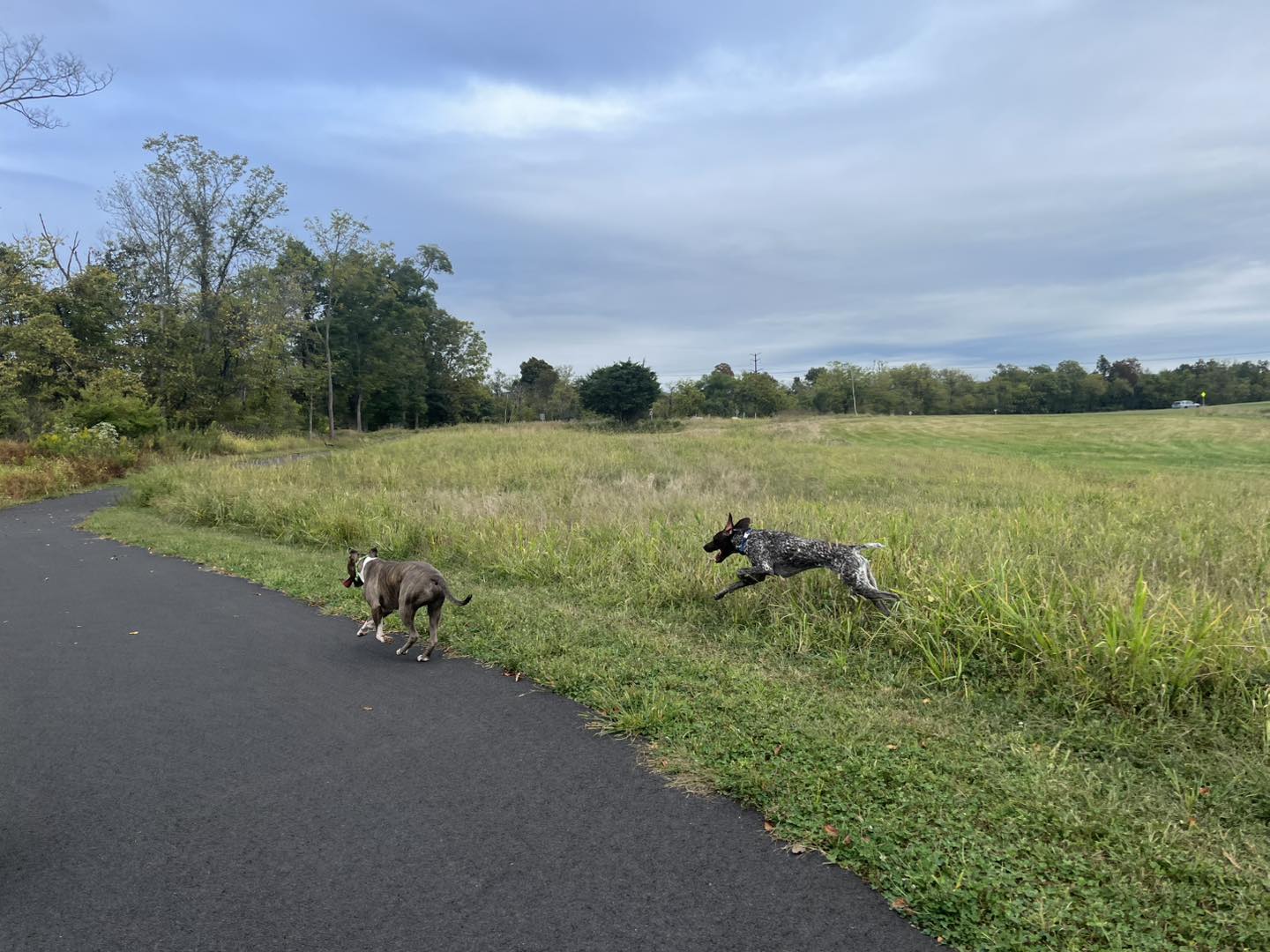 Winston's First Group Class