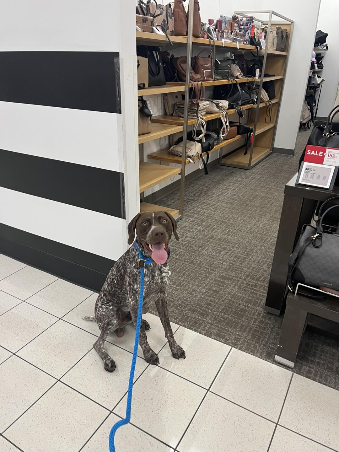 Winston's First Group Class