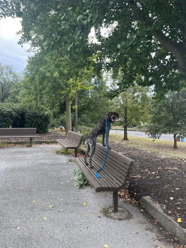 Winston Practicing Check-ins and Engagement