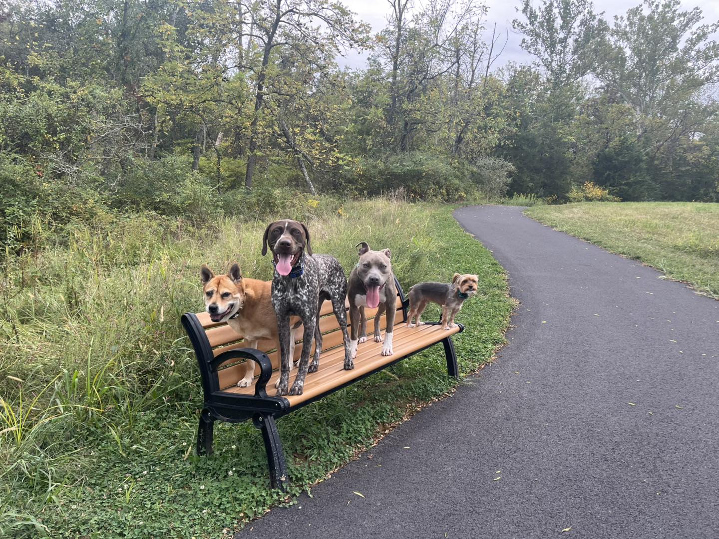 Winston's First Group Class