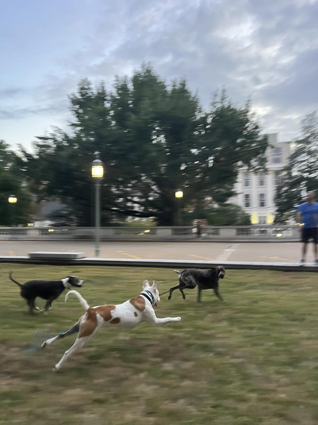 Winston's First Group Class
