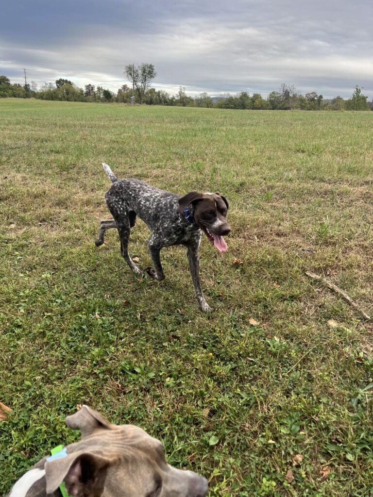 Winston's First Group Class