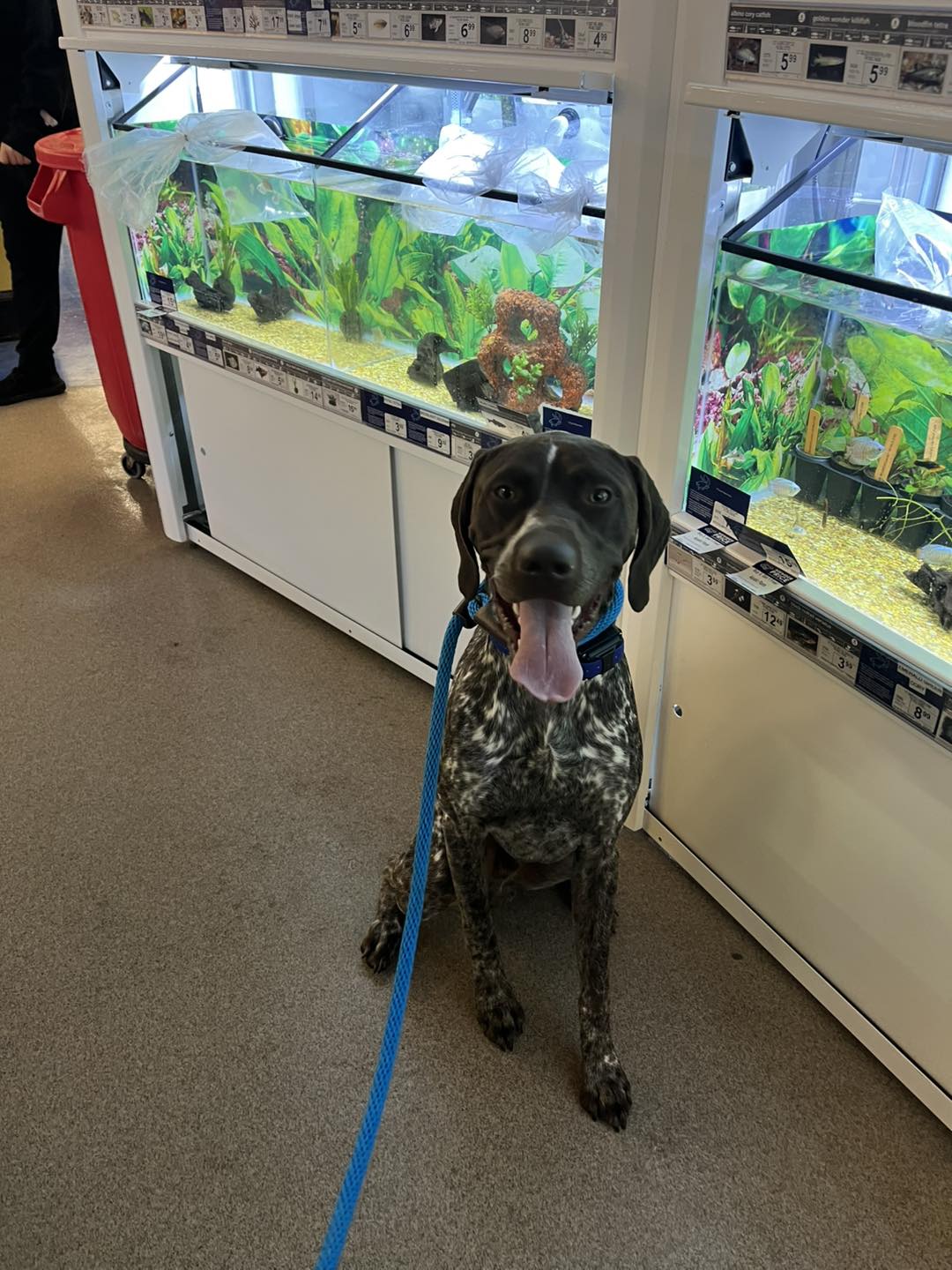 Winston's First Group Class