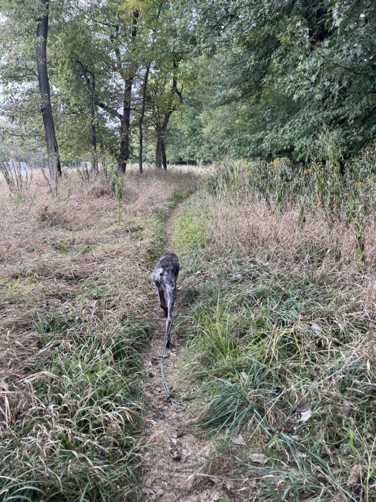 Winston's First Group Class