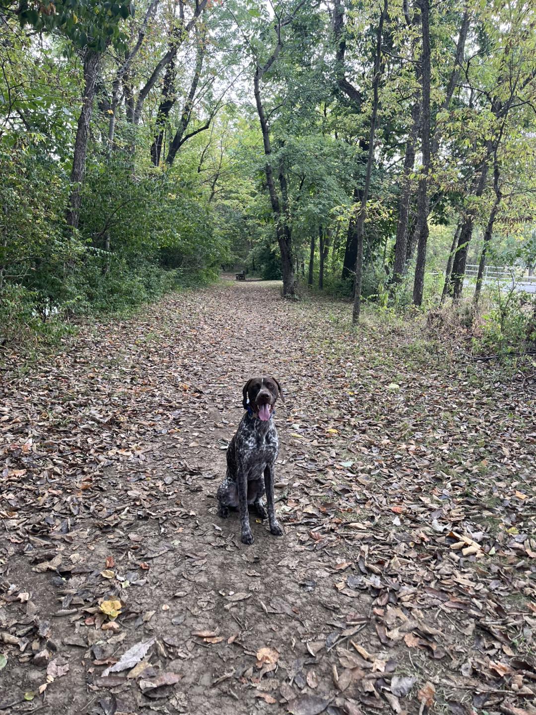 Winston's First Group Class