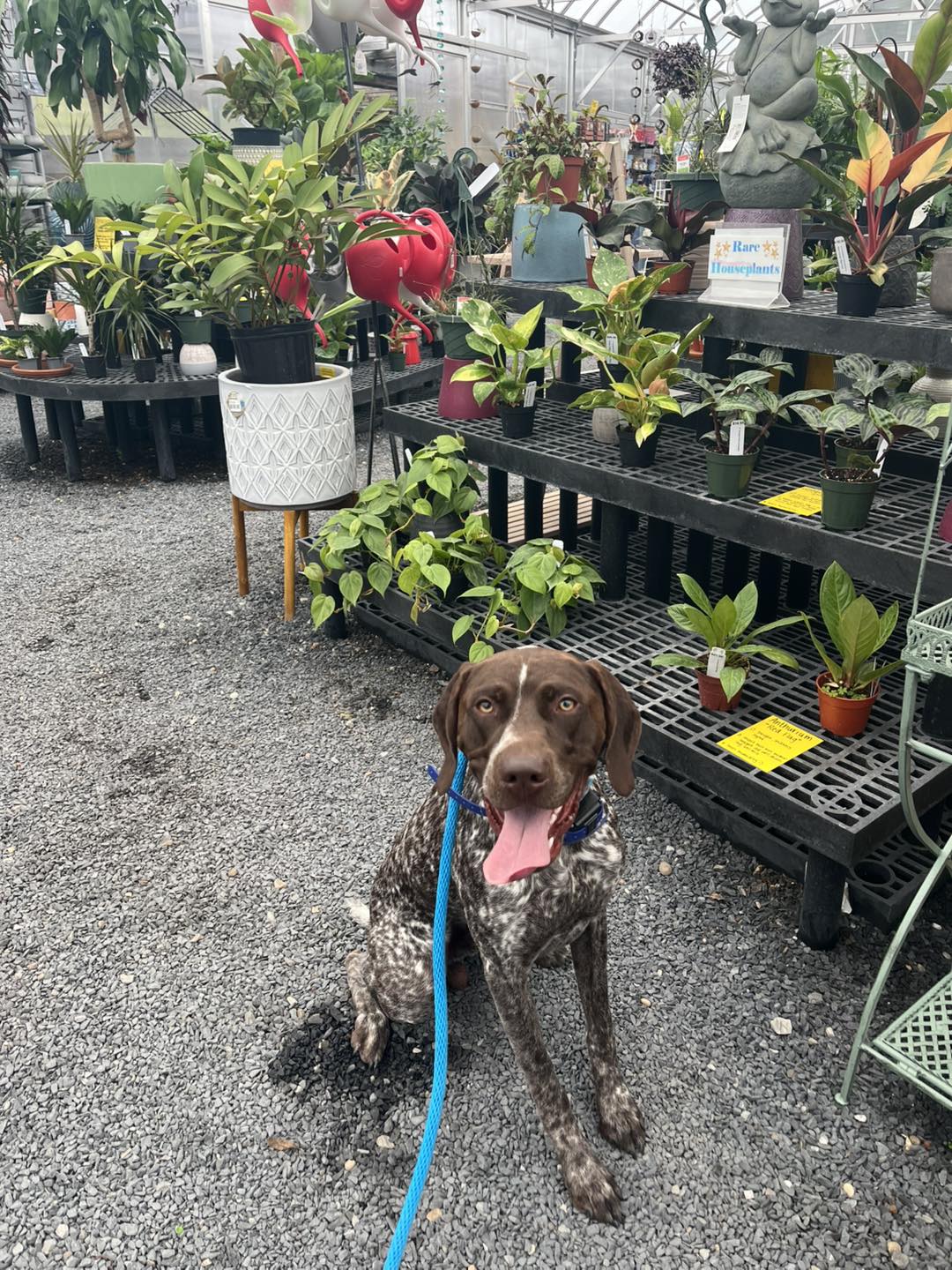 Winston Practicing Check-ins and Engagement