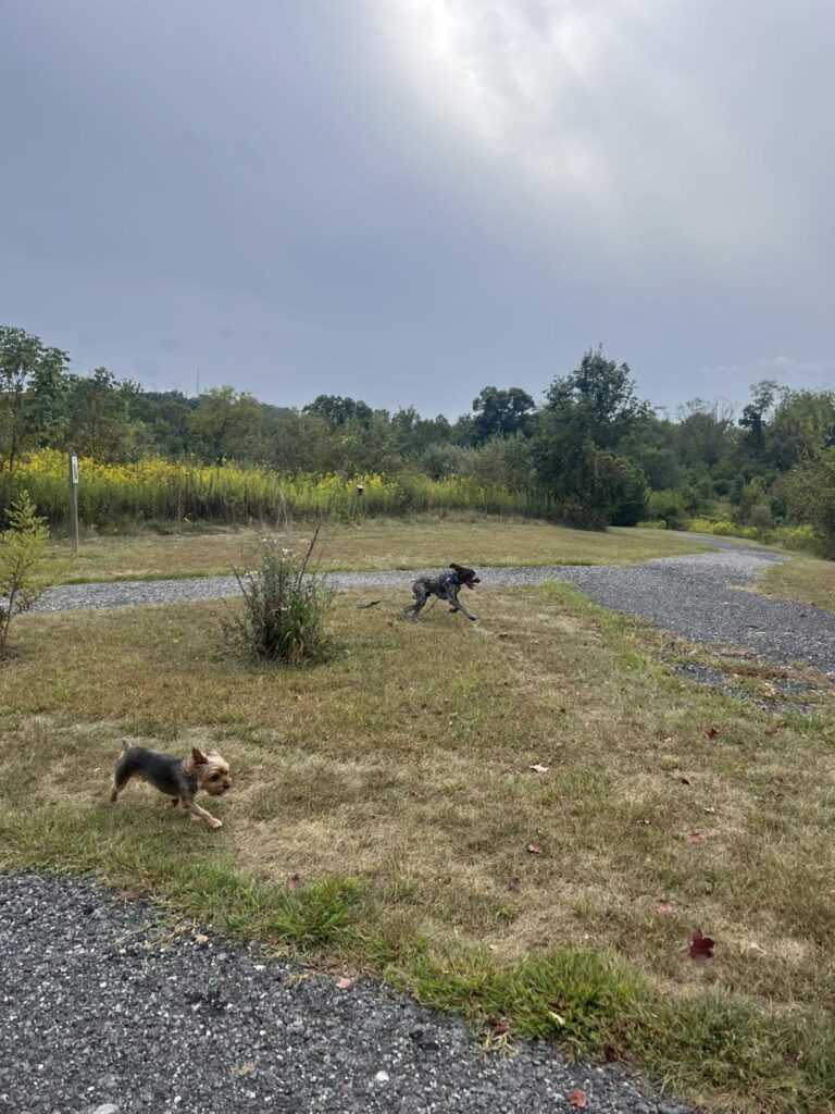 Winston Practicing Check-ins and Engagement