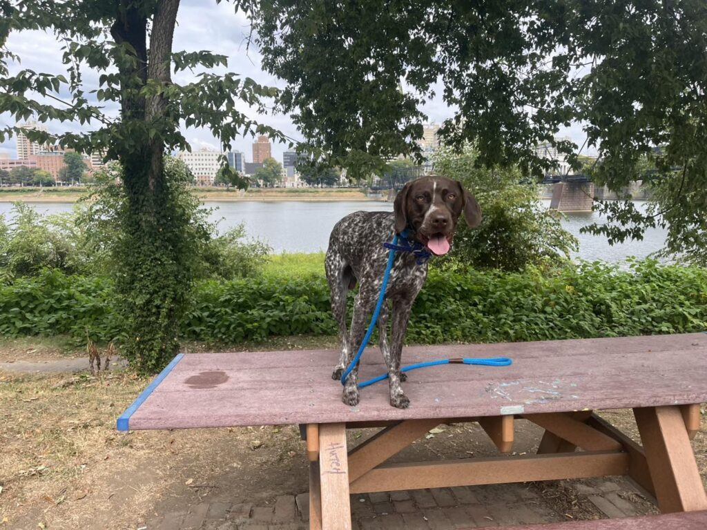 Winston Practicing Check-ins and Engagement