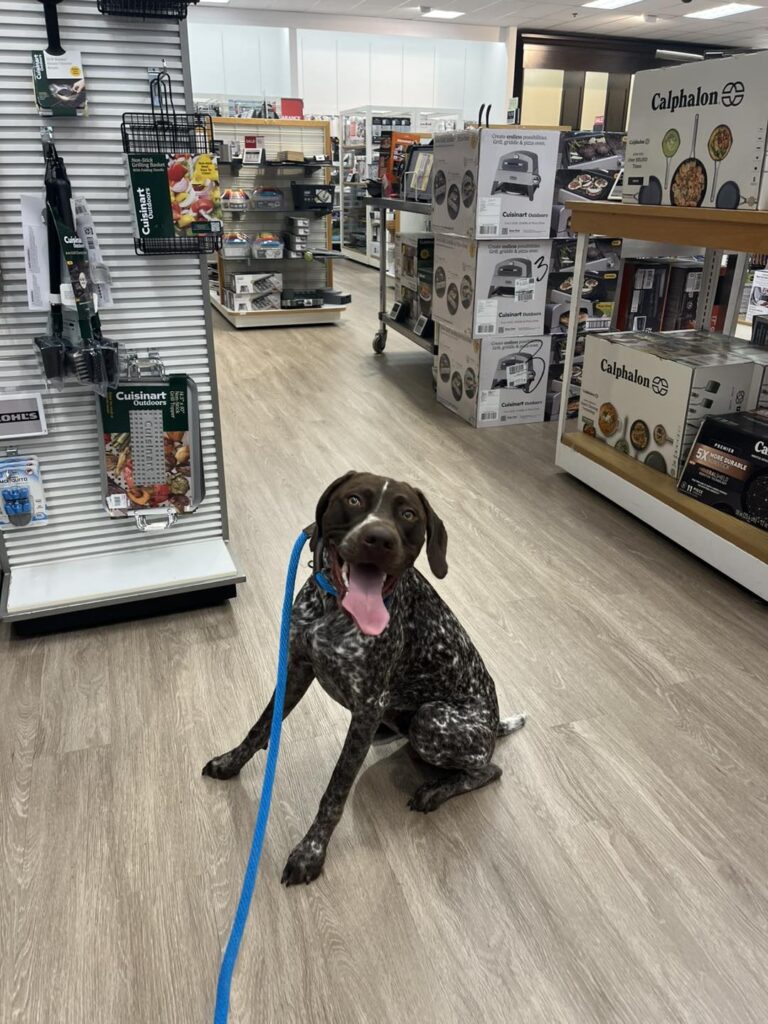 Winston's First Group Class