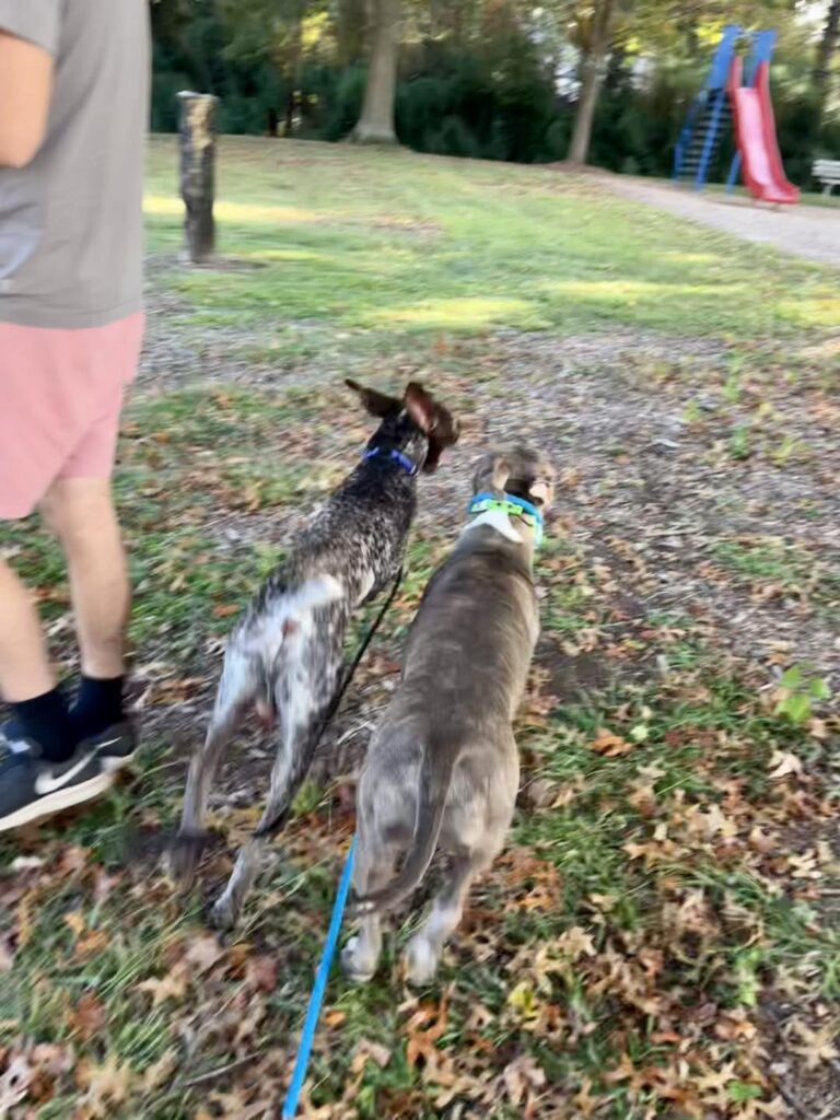 Winton's Training Session