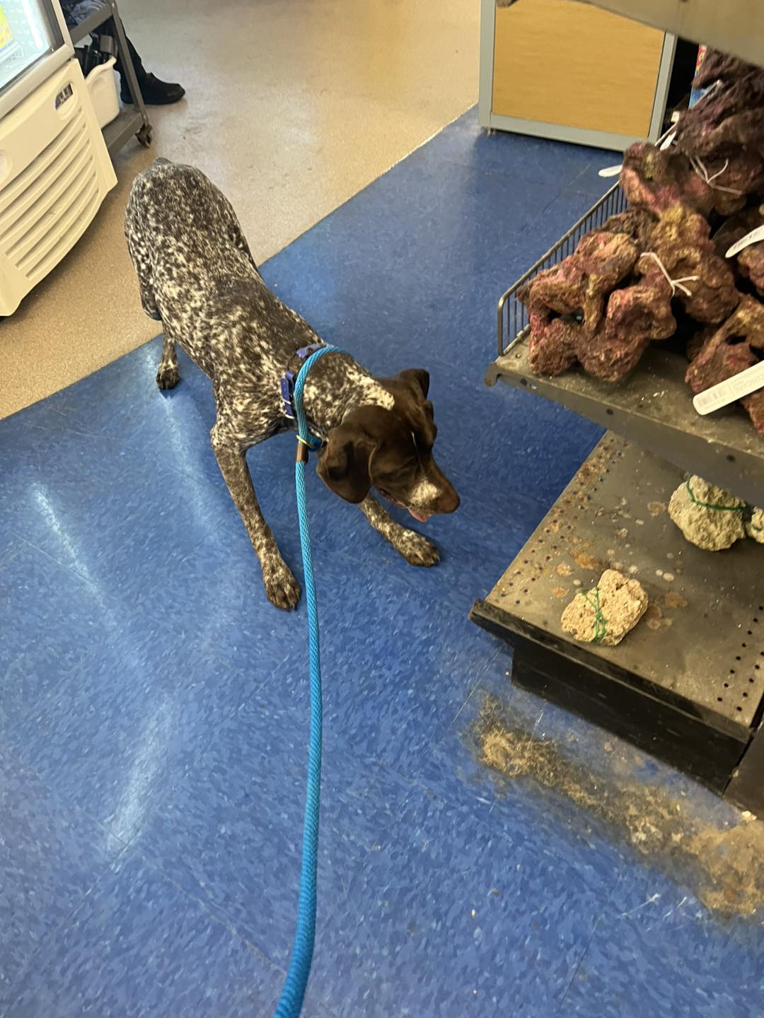 Winston's First Group Class