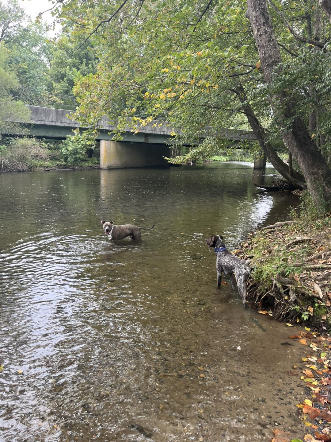 Winston Practicing Check-ins and Engagement