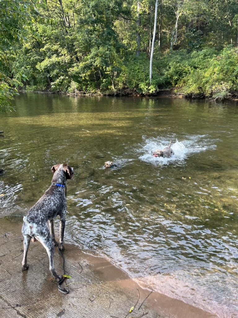 Winton's Training Session