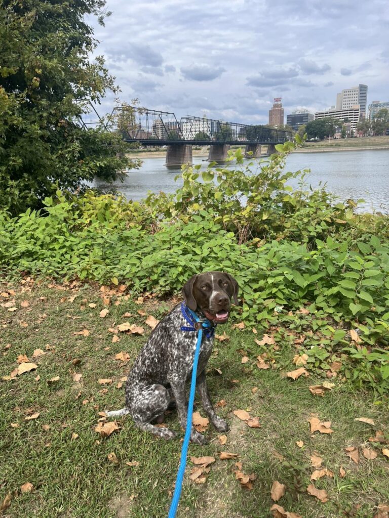 Winston Practicing Check-ins and Engagement