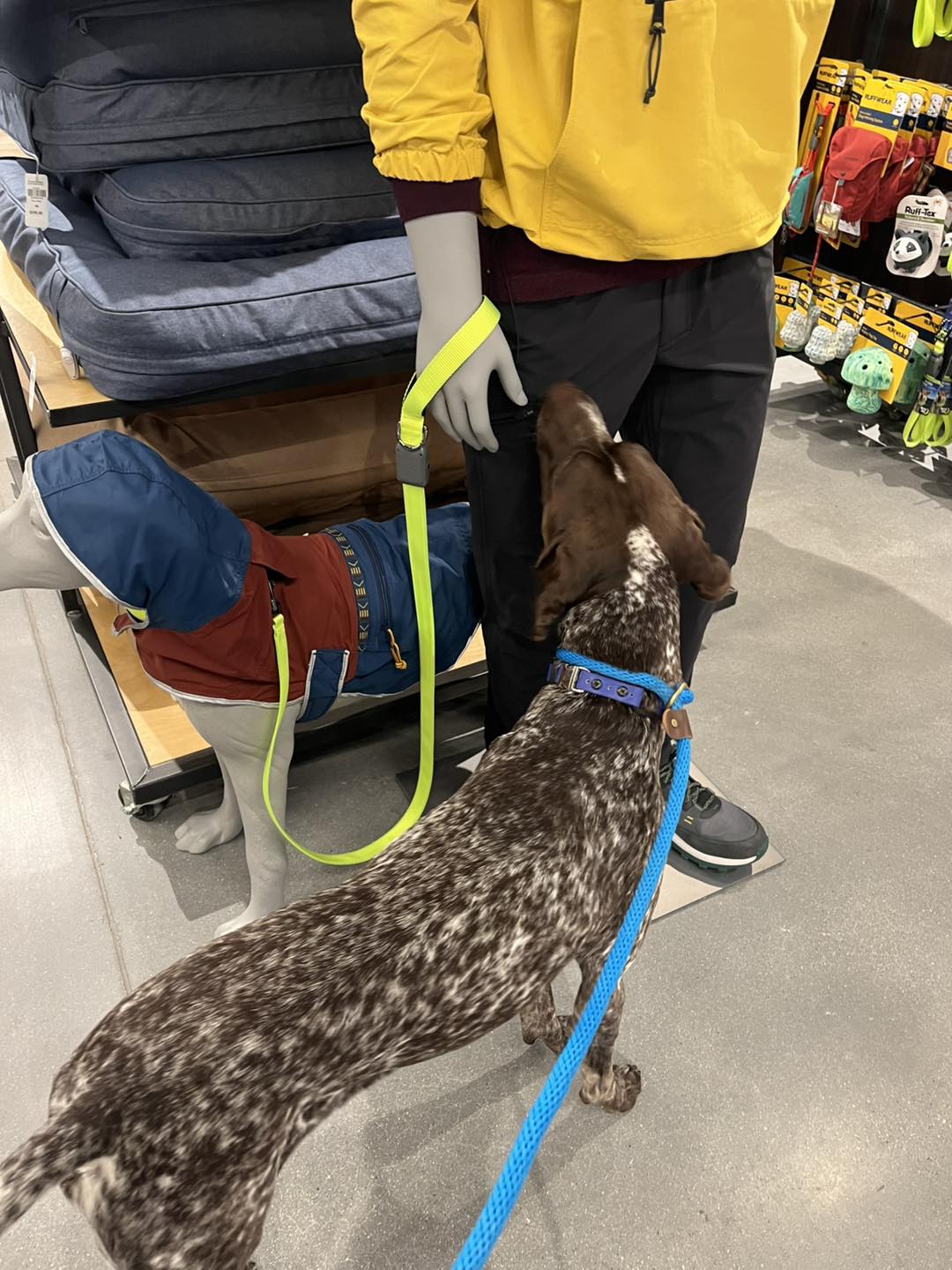 Winston's First Group Class