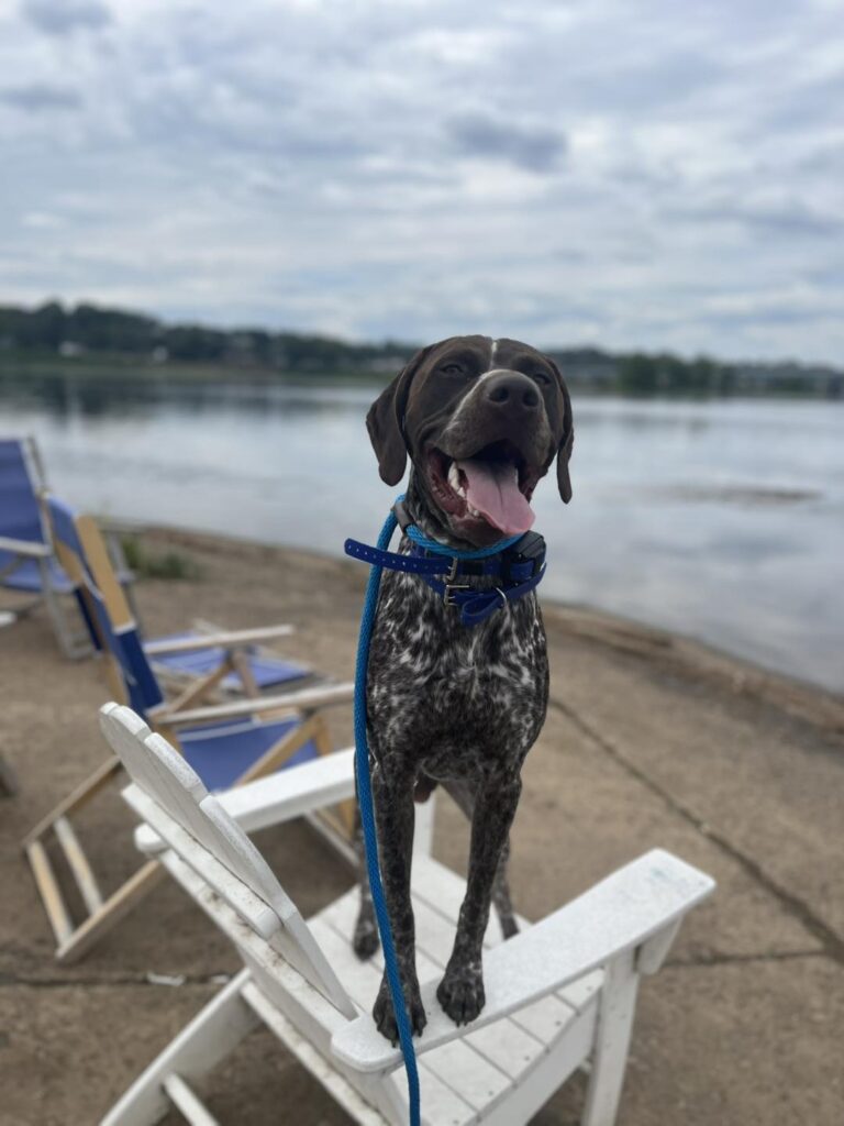 Winston Practicing Check-ins and Engagement