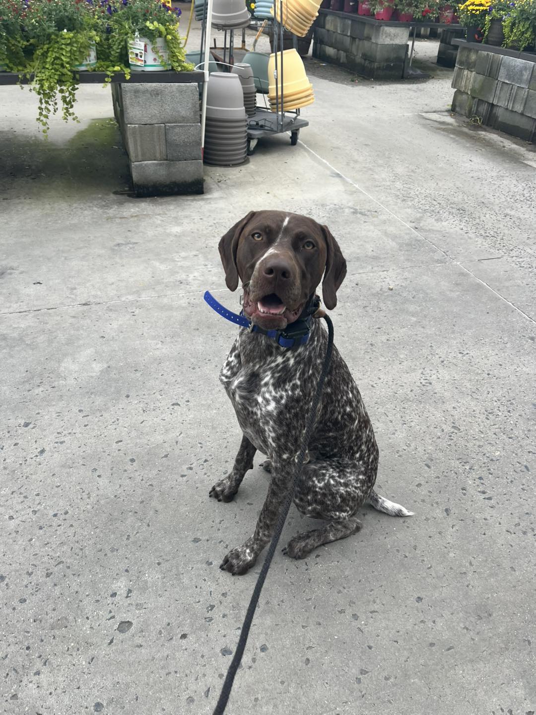 Winston Practicing Check-ins and Engagement