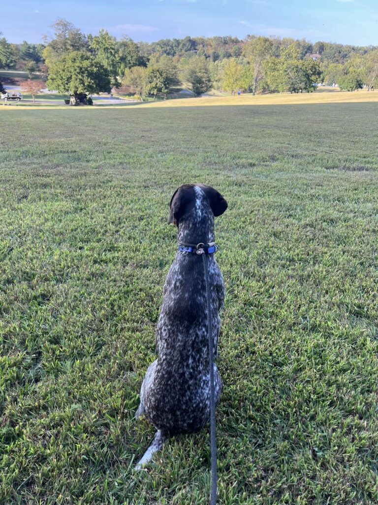 Winton's Training Session