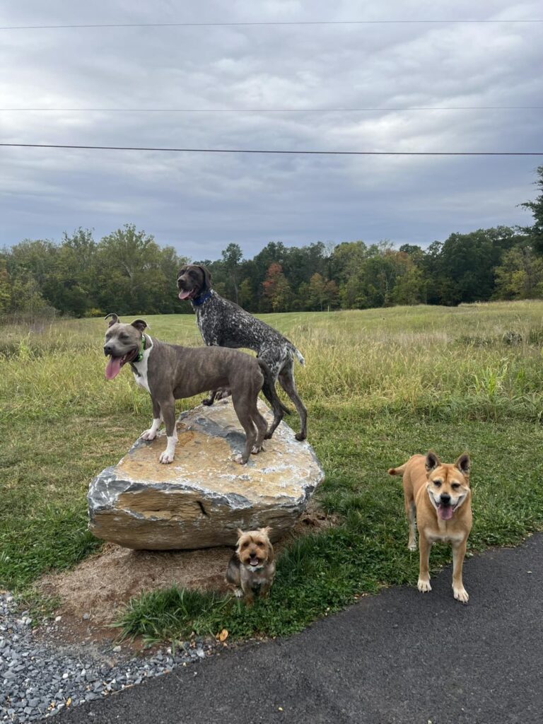 Winston's First Group Class